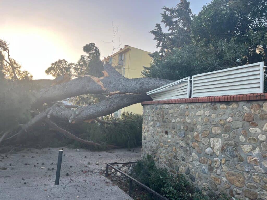 Météo : tempête Nils, les images des dégâts en Occitanie