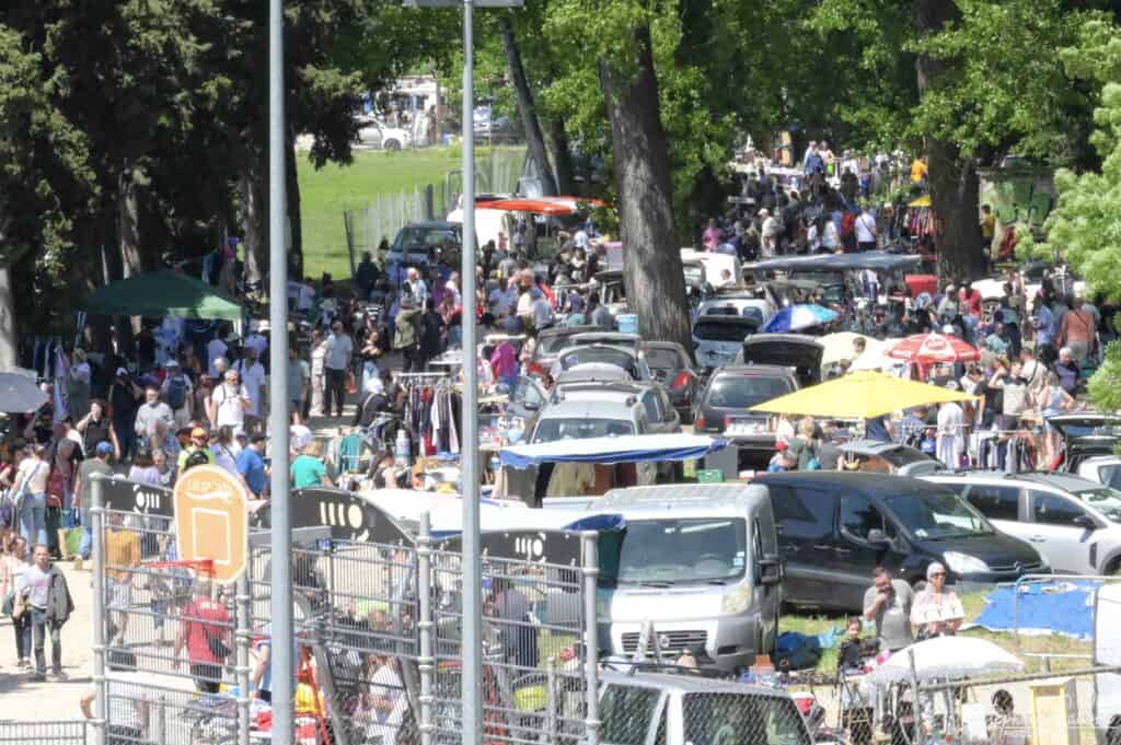 Hérault : les puces géantes d’Aniane reviennent