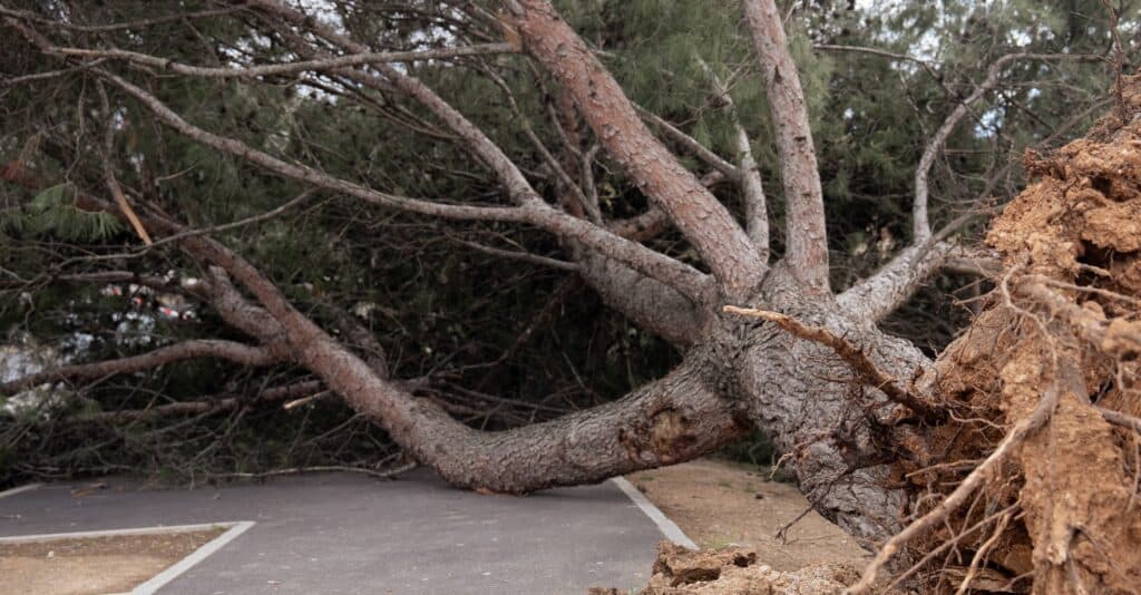 Aude : tempête, neuf accidents, trois personnes en urgence absolue