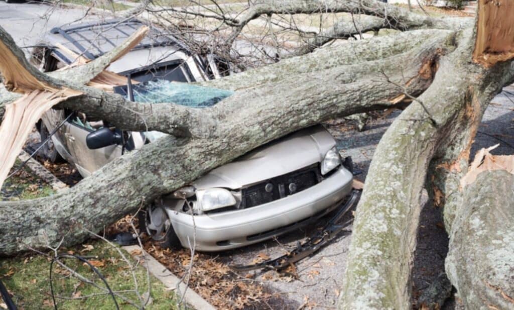 Météo : forte tempête jeudi en Occitanie, risque de nombreux dégâts