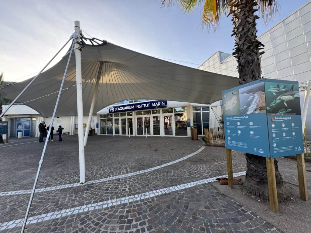 Le Grau-du-Roi : une nouvelle exposition au Seaquarium pour plonger dans les herbiers marins