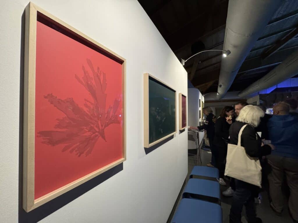 Gard : le Seaquarium du Grau-du-Roi inaugure une nouvelle exposition sur les herbiers marins