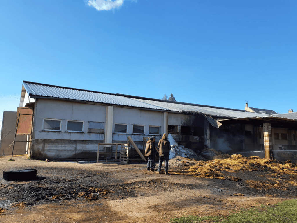Gard : incendie proche d’un hangar, un troupeau de brebis sauvé