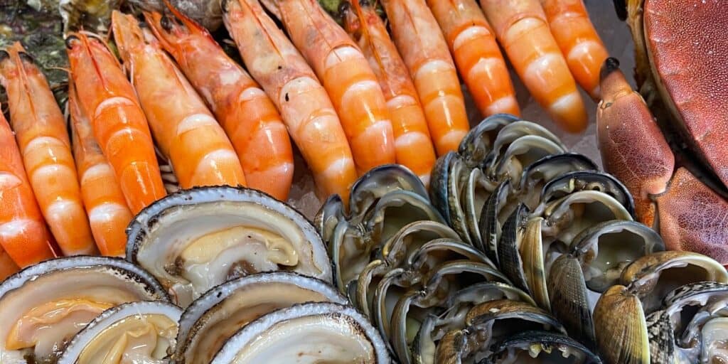 Grau-du-Roi : les Oursinades de La Barque bleue ont lieu ce dimanche