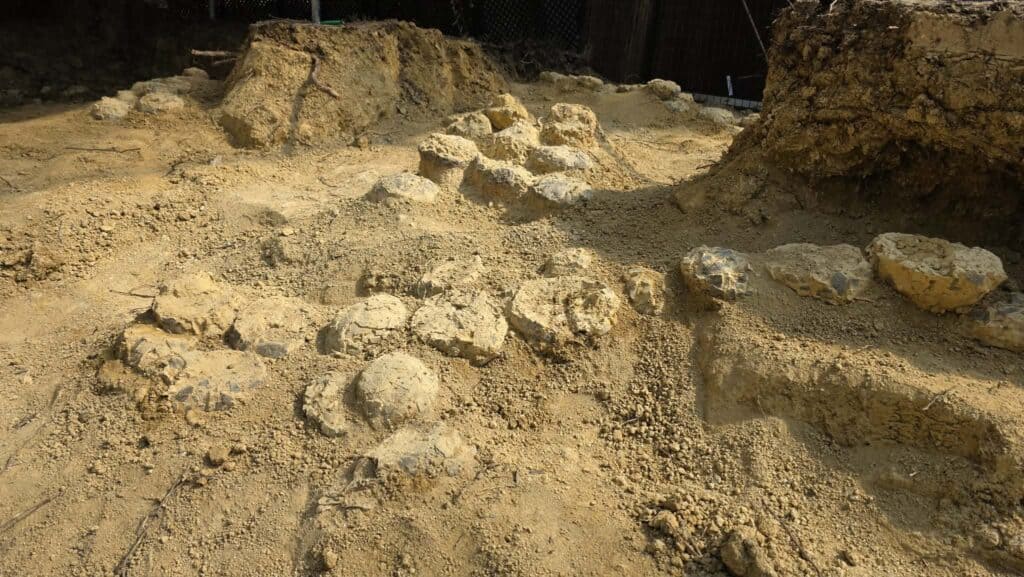 Hérault : plusieurs centaines d’œufs de dinosaures découverts à Mèze