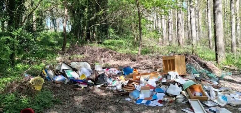 Terre d’Argence : décharge sauvage au coeur d’une forêt, 600 euros d’amende