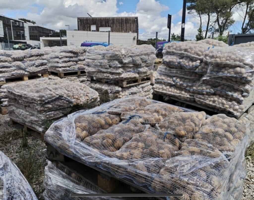 Nîmes : 33 tonnes de pommes de terre redistribuées par Humanîmes en partenariat avec la Table Ouverte