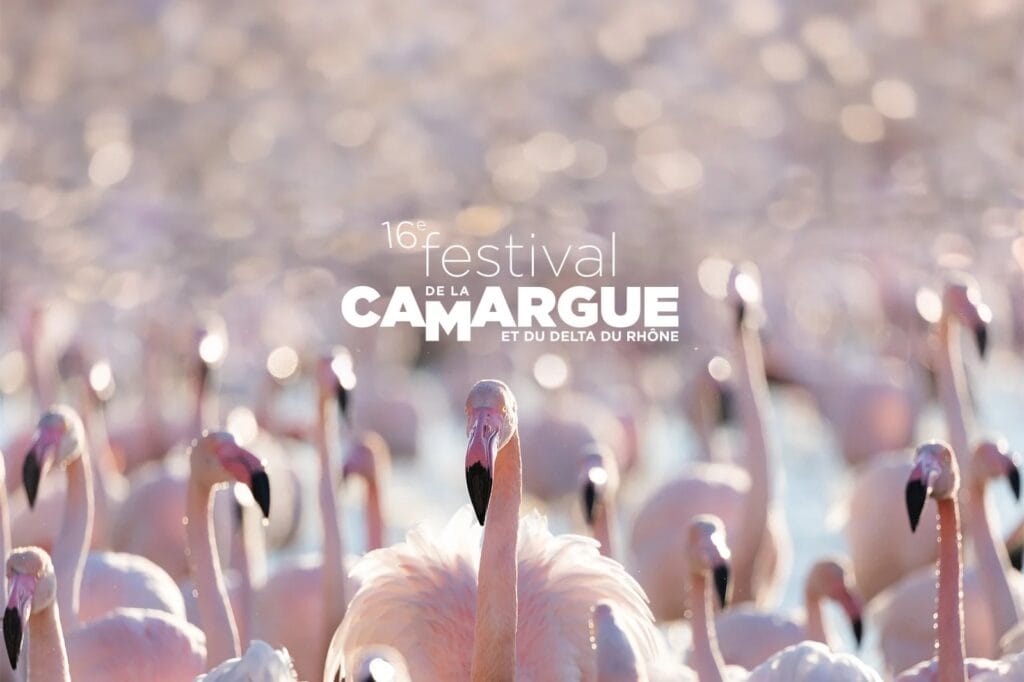 Le Festival de la Camargue revient du 13 au 17 mai