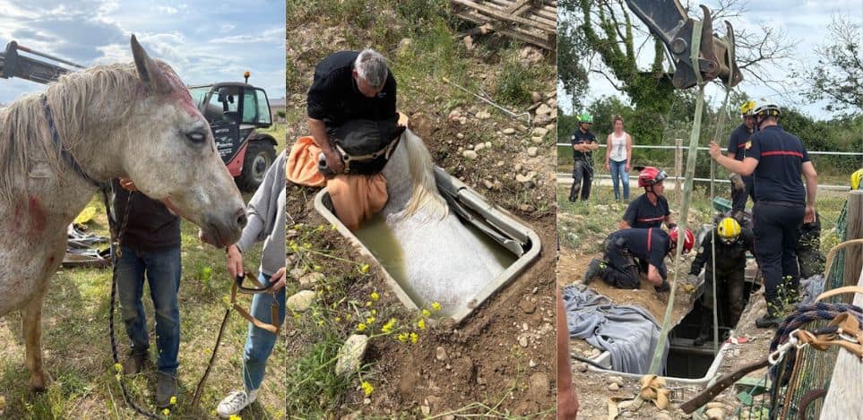 Pyrénées-Orientales : les sapeurs-pompiers portent secours à un cheval piégé dans une fosse